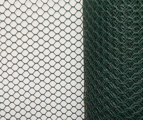 hexagonal mesh