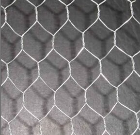 hexagonal wire mesh-1