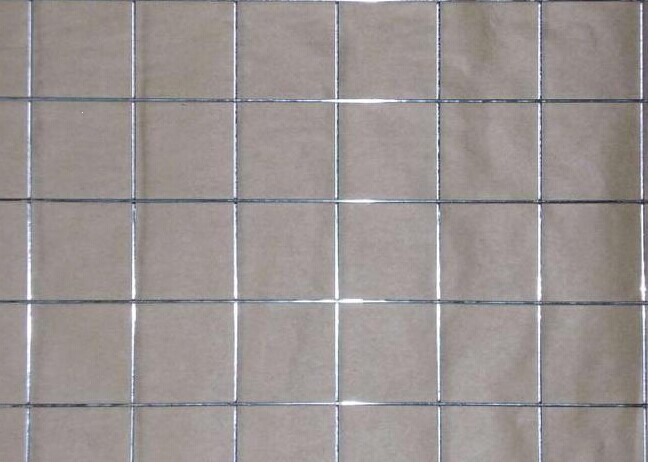 welded wire mesh-2