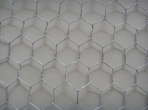 Hexagonal Wire Mesh